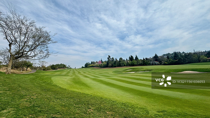 绿意盎然的高尔夫球场图片素材