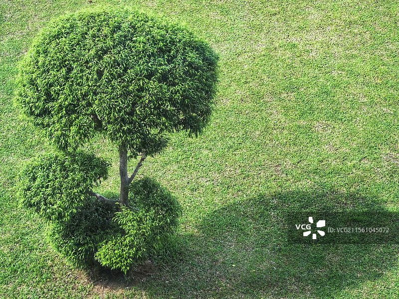 绿意盎然图片素材