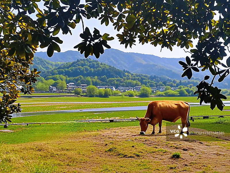 《美丽花亭湖畔》拍摄于安徽省太湖县花亭湖畔。图片素材