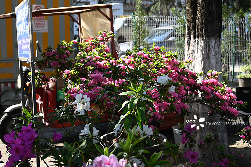 云南大理三月街图片素材