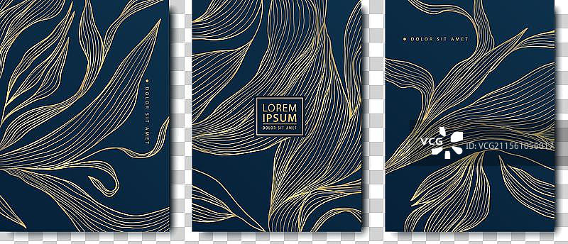 奢华金叶花卉背景集图片素材