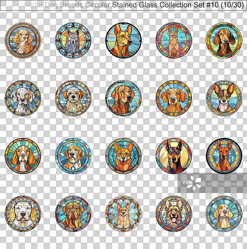 五彩斑斓的狗品种圆形彩色玻璃狗图片素材