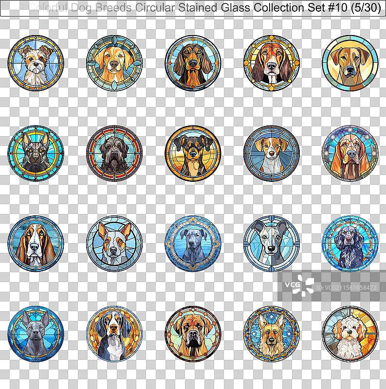 五彩斑斓的狗品种圆形彩色玻璃狗图片素材