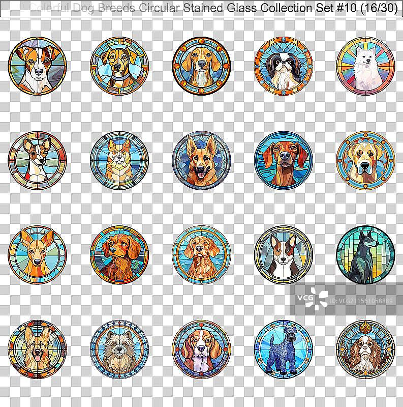 五彩斑斓的狗品种圆形彩色玻璃狗图片素材