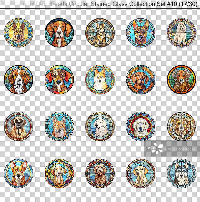 五彩斑斓的狗品种圆形彩色玻璃狗图片素材