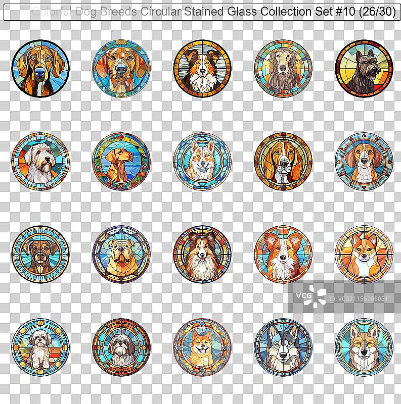 五彩斑斓的狗品种圆形彩色玻璃狗图片素材