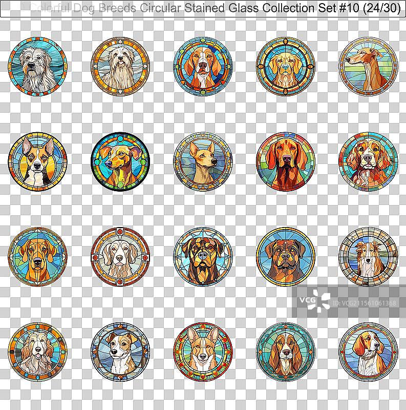 五彩斑斓的狗品种圆形彩色玻璃狗图片素材