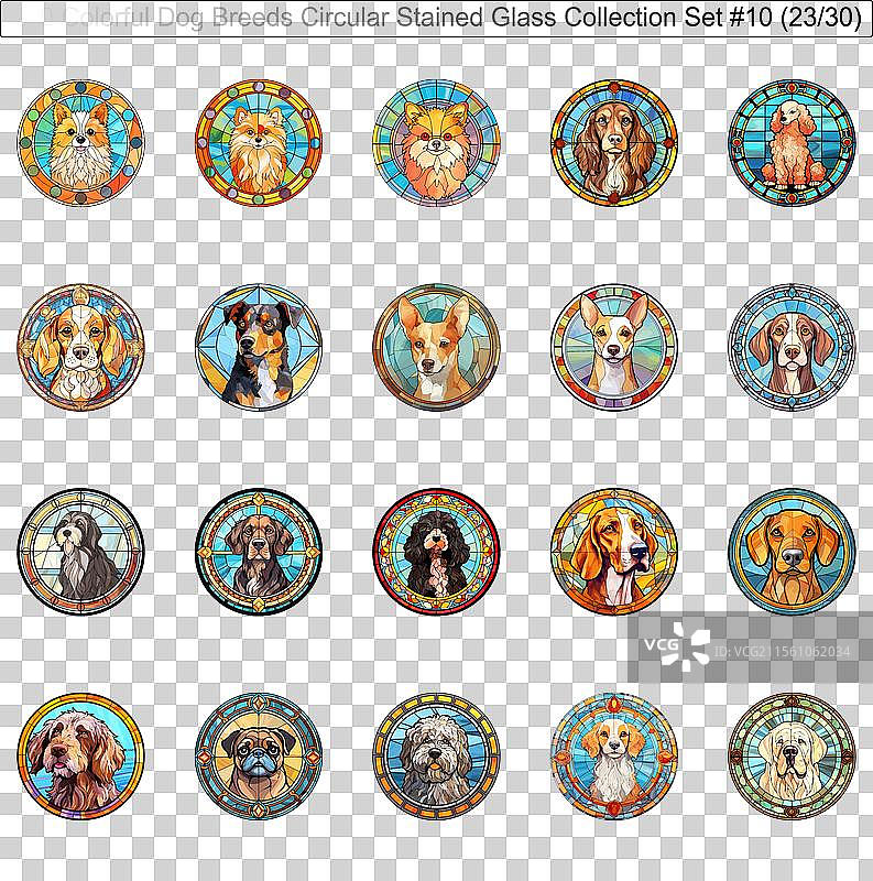 五彩斑斓的狗品种圆形彩色玻璃狗图片素材