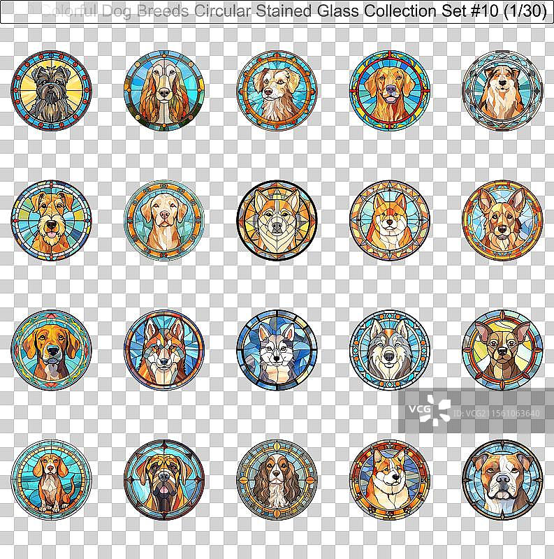 五彩斑斓的狗品种圆形彩色玻璃狗图片素材