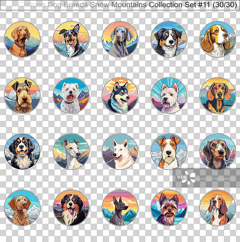 雪山中的狗狗品种卡通角色图片素材