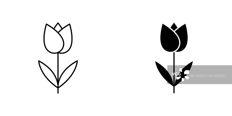 白色背景上的郁金香花图标符号集合图片素材