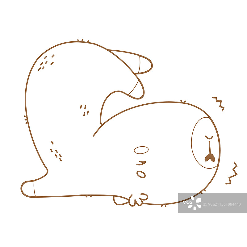 在瑜伽垫上伸展的水豚运动员图片素材