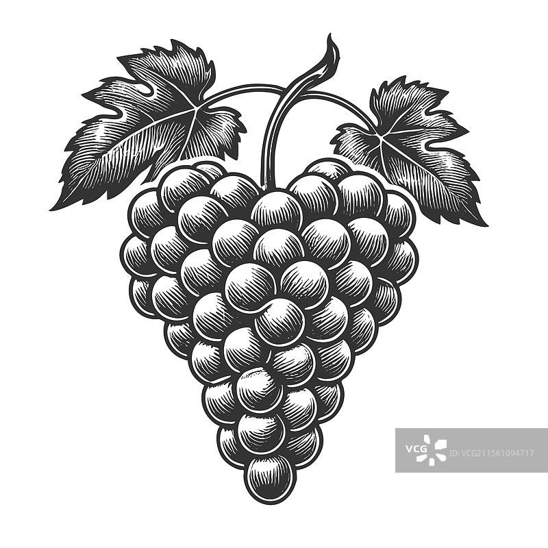 带叶子的葡萄串雕刻图片素材