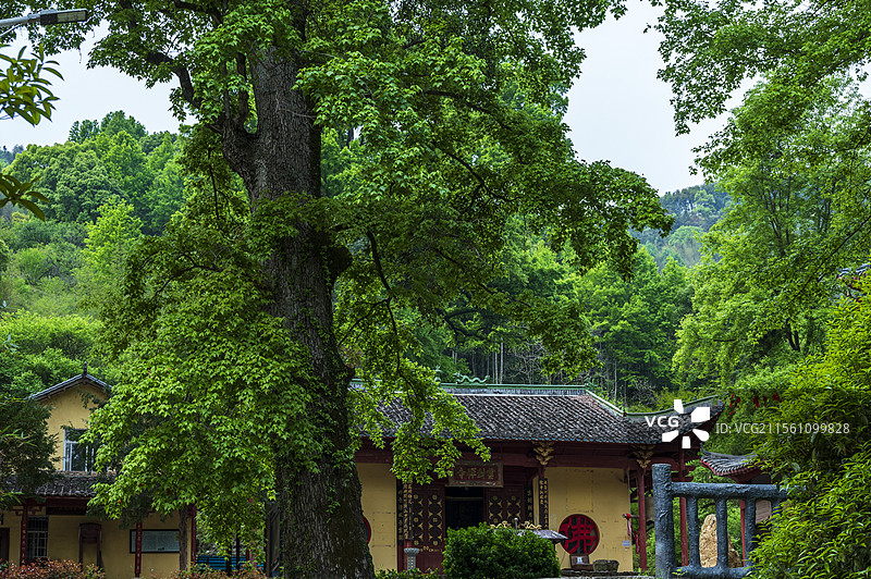 江西大余梅关古道景点——云封禅寺风景图片素材