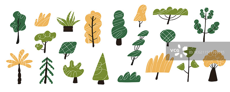 展示各种落叶树和常绿树图片素材