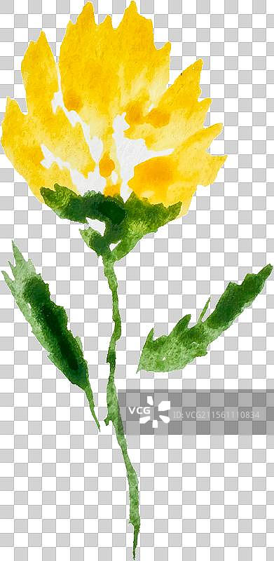 简单的水彩黄色野花剪影图片素材