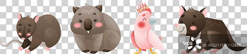 可爱的澳大利亚动物和特有动物群图片素材