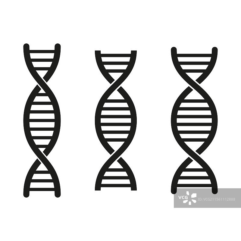 DNA螺旋结构遗传密码图标分子图片素材