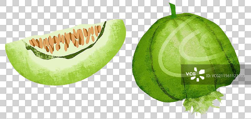 绿色的蜜瓜插画元素图片素材