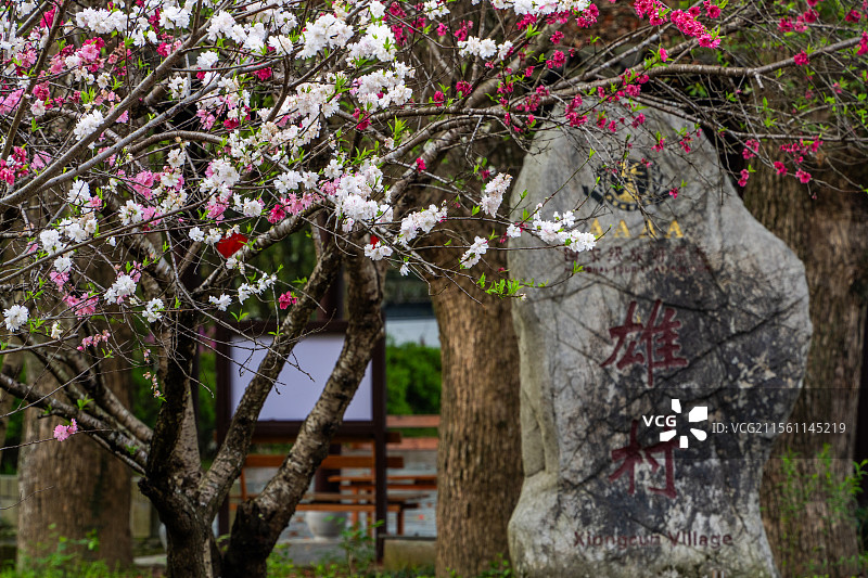 歙县雄村图片素材