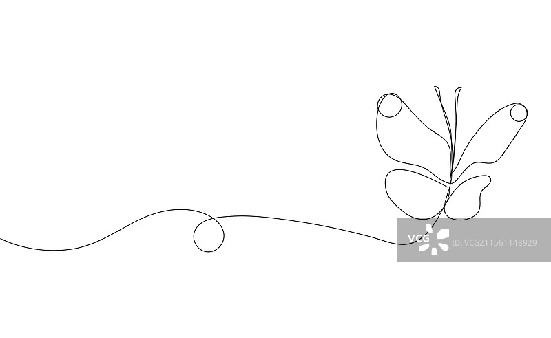 体验捕捉到的美丽与宁静图片素材