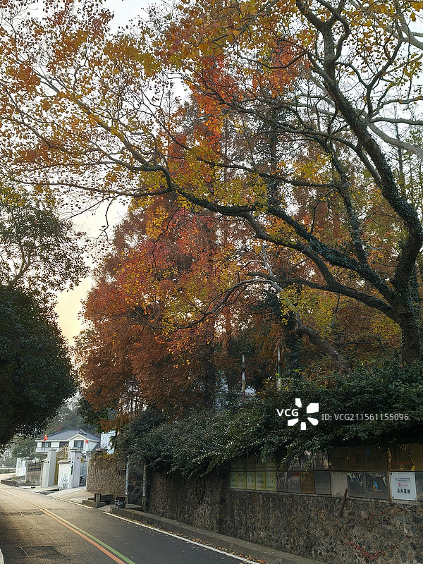 浙江舟山-秋冬的南洞艺谷图片素材