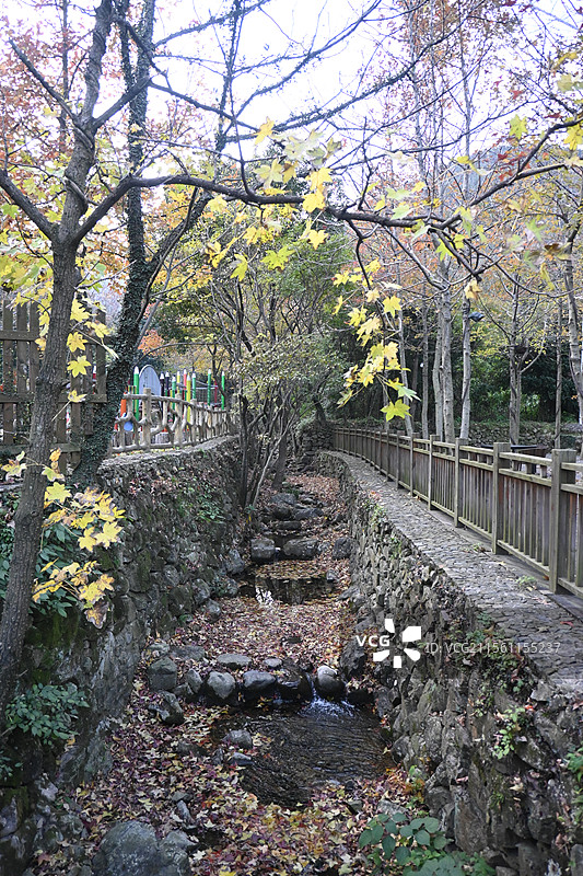 浙江舟山-秋冬的南洞艺谷图片素材