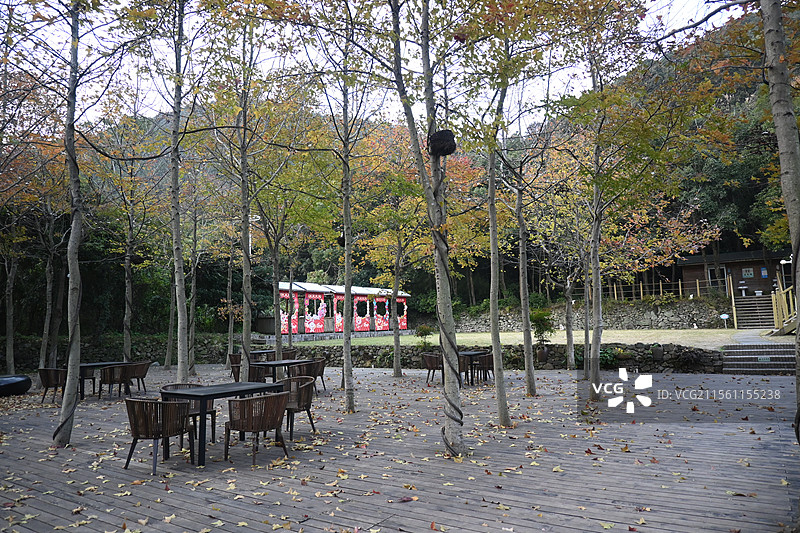 浙江舟山-秋冬的南洞艺谷图片素材