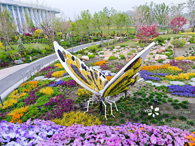 上海世博文化公园 世界花艺园新境园，蝴蝶花境造型，春天花海风光图片素材