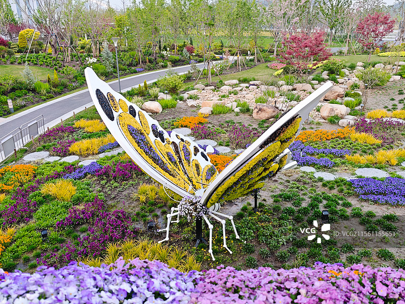 上海世博文化公园 世界花艺园新境园，蝴蝶花境造型，春天花海风光图片素材