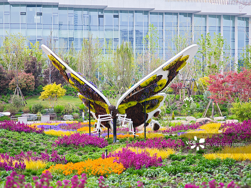 上海世博文化公园 世界花艺园新境园，蝴蝶花境造型，春天花海风光图片素材
