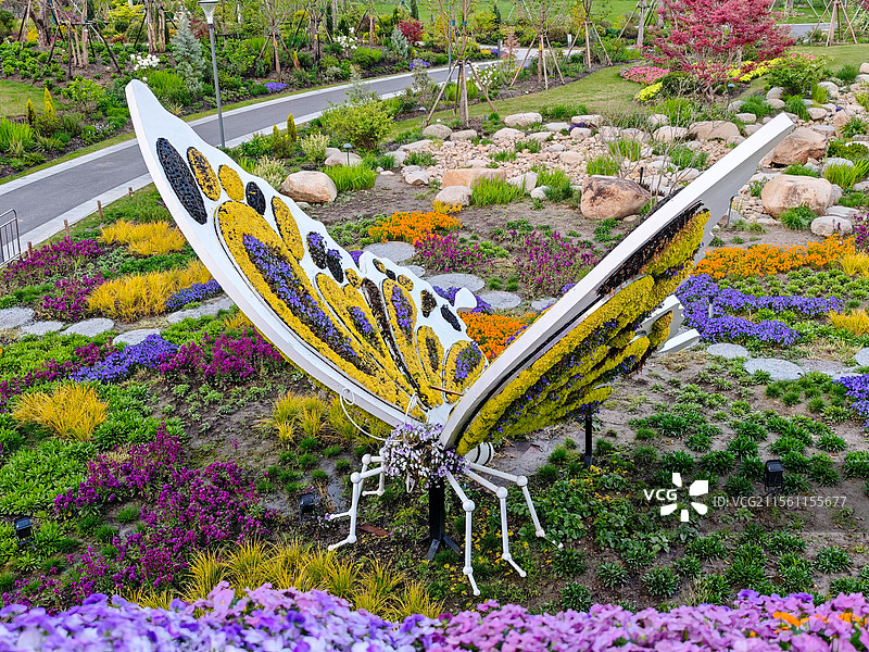 上海世博文化公园 世界花艺园新境园，蝴蝶花境造型，春天花海风光图片素材