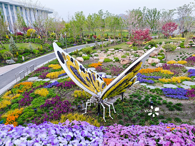 上海世博文化公园 世界花艺园新境园，蝴蝶花境造型，春天花海风光图片素材