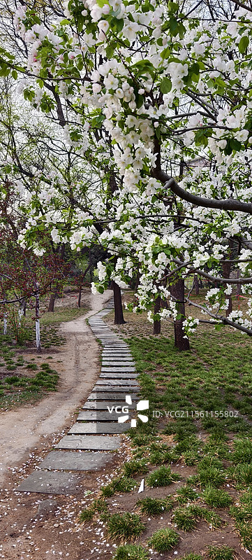 元大都城垣遗址公园～海棠花溪图片素材