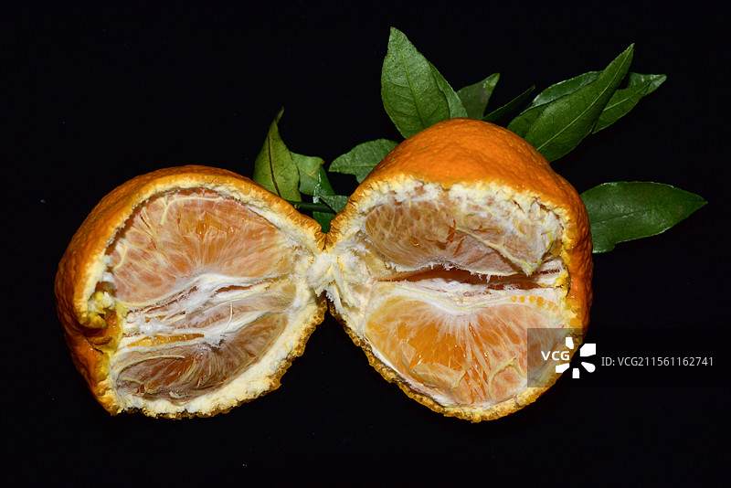 不知火丑橘的特写图片素材