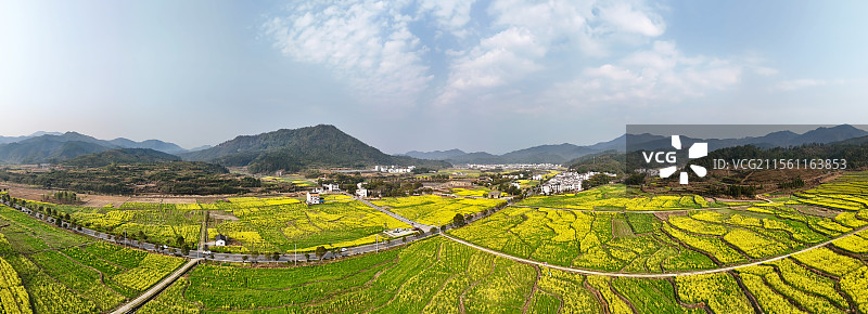 江西婺源江湾景区金色田园油菜花盛景图片素材