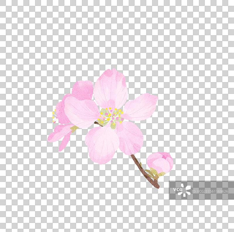 桃花元素图片素材