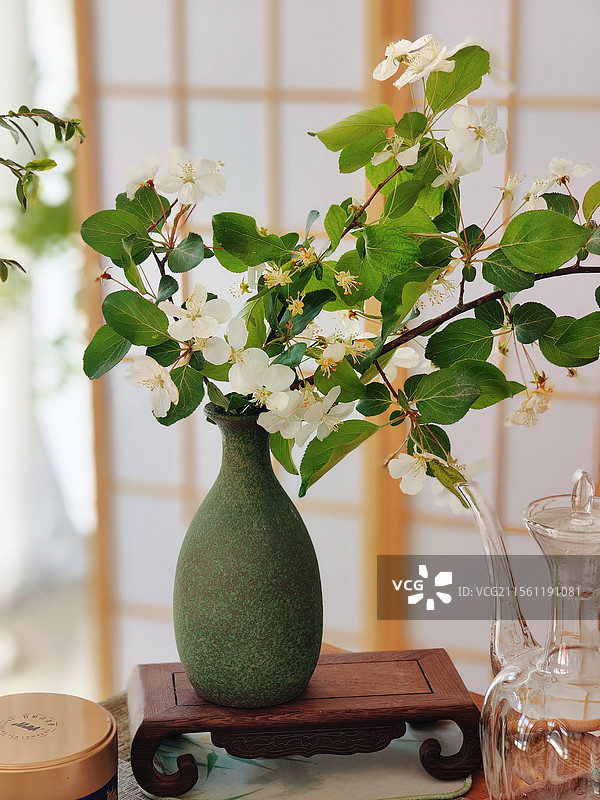 春日花开图片素材