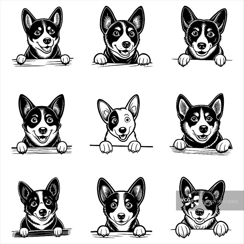 窥视的卡纳犬图片素材