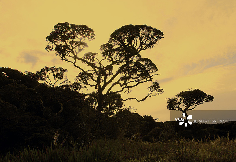 斯里兰卡霍顿草原风光图片素材