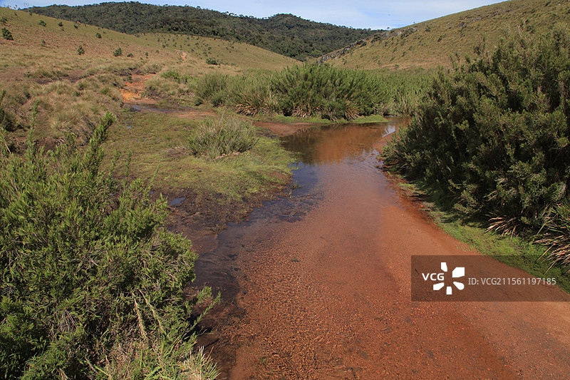 斯里兰卡霍顿草原风光图片素材