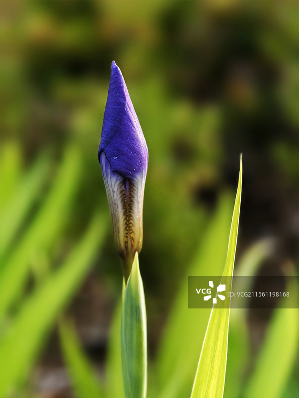 春的气息扑面而来图片素材