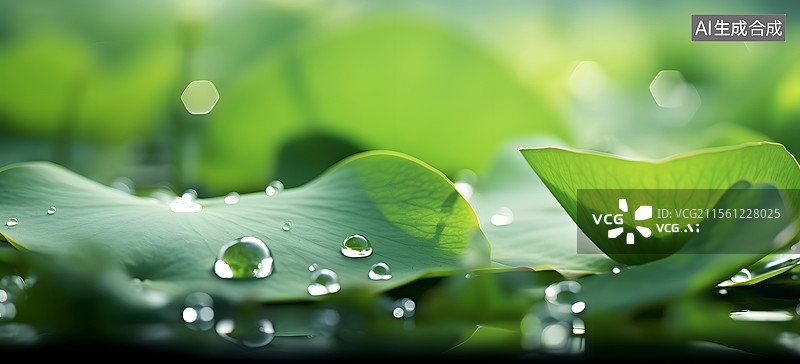 【AI数字艺术】荷叶 露水图片素材