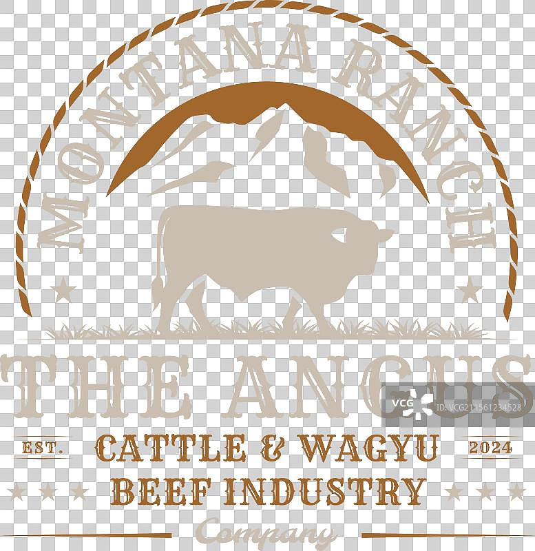 安格斯公牛，母牛，牛肉，和牛，西部牧场图片素材