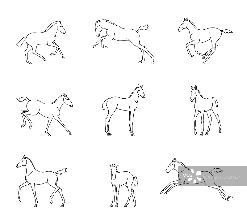 傻瓜的不同运动阶段合集图片素材