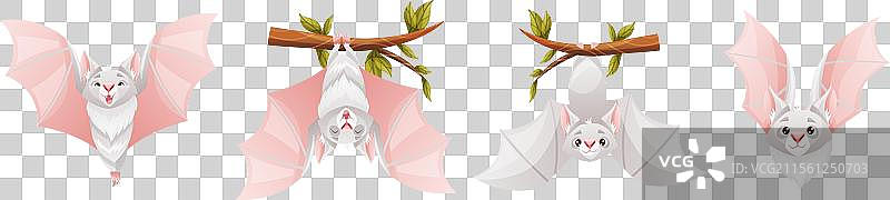 挂在树枝上的飞行生物角色蝙蝠图片素材