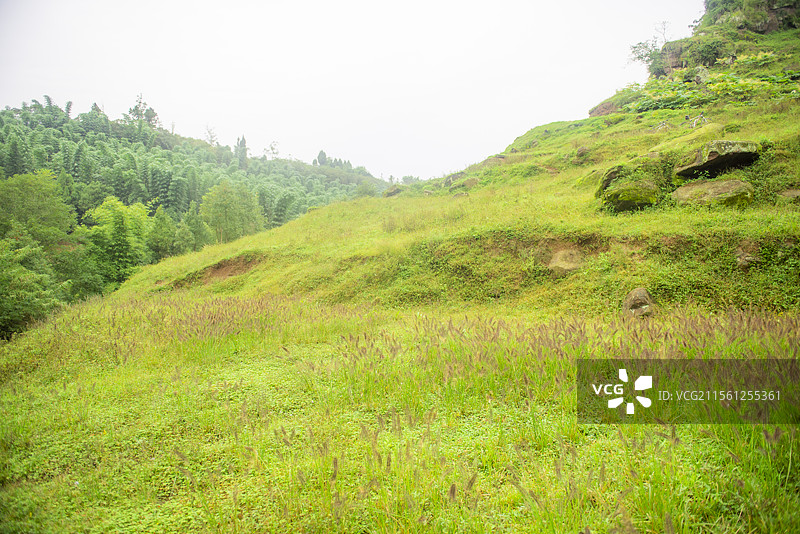 隆昌高星朝阳沟风光图片素材