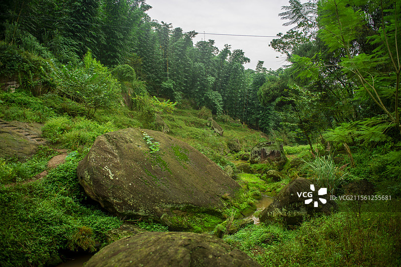 隆昌高星朝阳沟风光图片素材