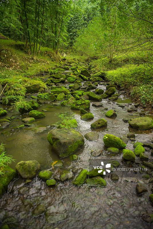 隆昌高星朝阳沟风光图片素材