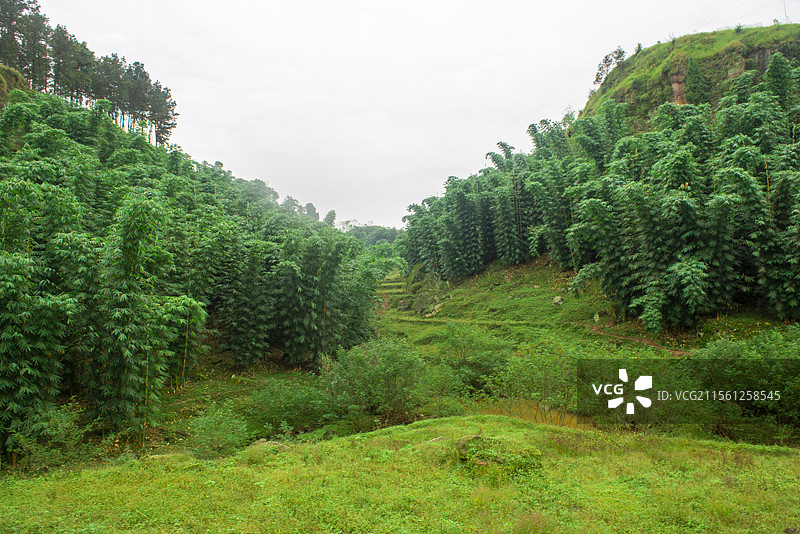 隆昌高星朝阳沟风光图片素材